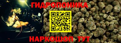 ECSTASY Донской