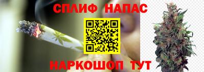 прущие грибы Донецк