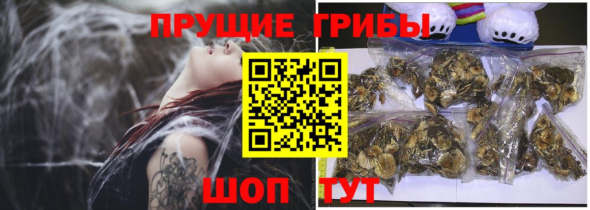 Карталы  Псилоцибиновые грибы Magic Shrooms  Вход с VPN  Галлюциногенные грибы Cubensis 